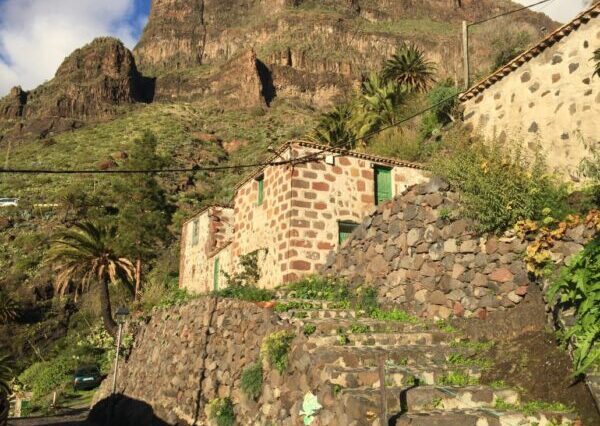 Tour As Tiede-Icod-Garachico - Masca Tenerife Thrills