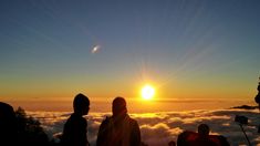 Volcano Tour Tenerife Thrills