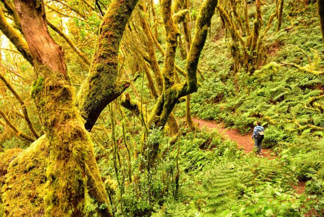 LA GOMERA Tenerife Thrills