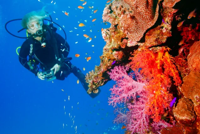 Try Dive Tenerife Thrills